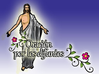 Imagen que contiene Interfaz de usuario grfica